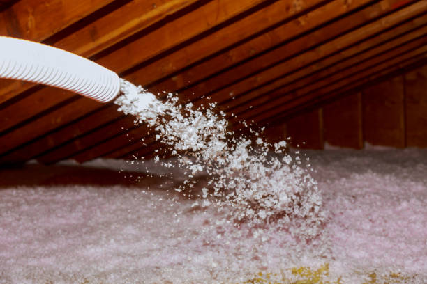 Best Insulation Contractor Near Me  in Auxvasse, MO