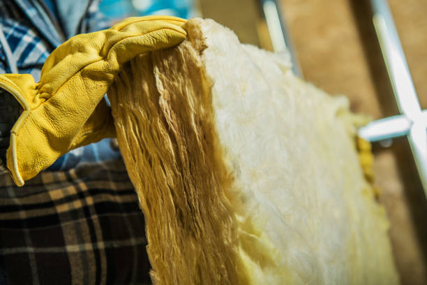 Best Insulation Contractors for Homes  in Auxvasse, MO