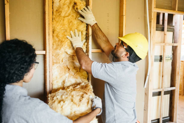 Best Insulation Inspection Services  in Auxvasse, MO