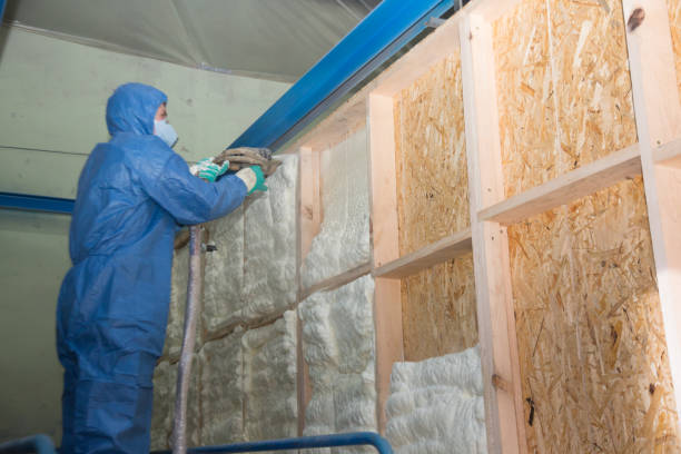 Best Insulation for Commercial Buildings  in Auxvasse, MO
