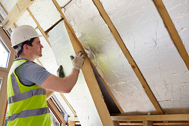 Best Crawl Space Insulation  in Auxvasse, MO