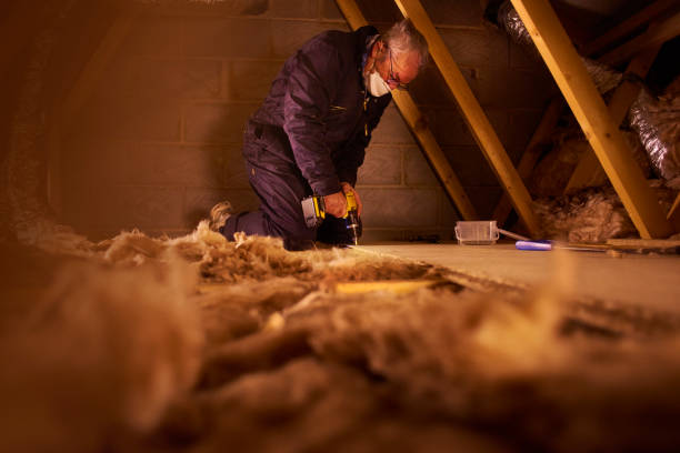 Best Blown-in Insulation  in Auxvasse, MO