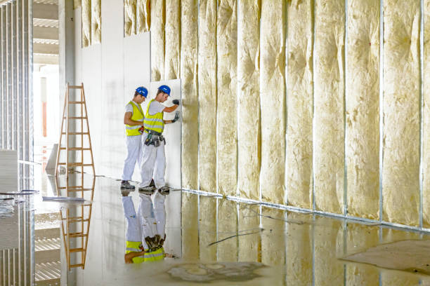 Best Garage Insulation Installation  in Auxvasse, MO